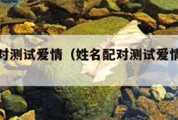 姓名配对测试爱情（姓名配对测试爱情非常运势网）