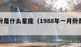 一月份是什么星座（1988年一月份是什么星座）