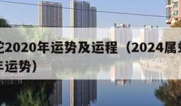 属蛇2020年运势及运程（2024属蛇的全年运势）