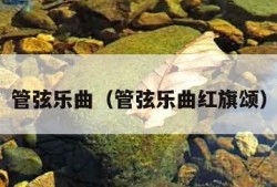 管弦乐曲（管弦乐曲红旗颂）