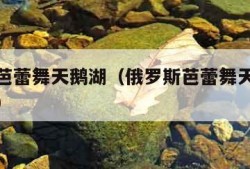 俄罗斯芭蕾舞天鹅湖（俄罗斯芭蕾舞天鹅湖全剧视频）