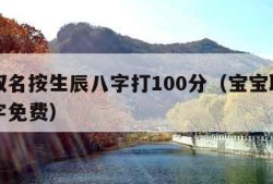 婴儿取名按生辰八字打100分（宝宝取名生辰八字免费）