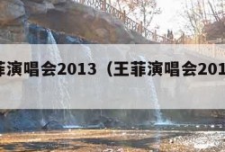 王菲演唱会2013（王菲演唱会2016门票）