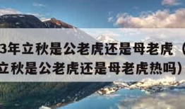 2023年立秋是公老虎还是母老虎（2023年立秋是公老虎还是母老虎热吗）