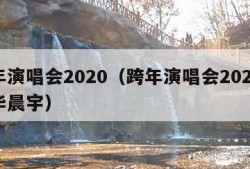 跨年演唱会2020（跨年演唱会2020回放华晨宇）