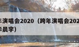 跨年演唱会2020（跨年演唱会2020回放华晨宇）