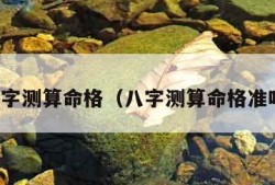 八字测算命格（八字测算命格准吗）