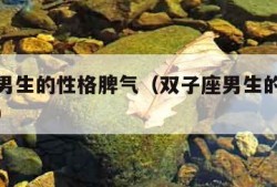 双子座男生的性格脾气（双子座男生的性格脾气说说）