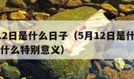 5月12日是什么日子（5月12日是什么日子有什么特别意义）