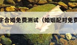 姻缘八字合婚免费测试（婚姻配对免费测试八字合婚）