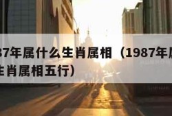 1987年属什么生肖属相（1987年属什么生肖属相五行）