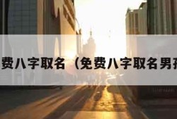 免费八字取名（免费八字取名男孩）