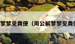 周公解梦梦见粪便（周公解梦梦见粪便溢出）