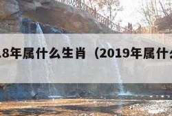 2018年属什么生肖（2019年属什么生肖）