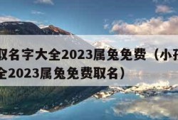 小孩取名字大全2023属兔免费（小孩取名字大全2023属兔免费取名）