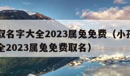 小孩取名字大全2023属兔免费（小孩取名字大全2023属兔免费取名）