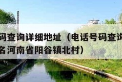 电话号码查询详细地址（电话号码查询详细地址及姓名河南省阳谷镇北村）