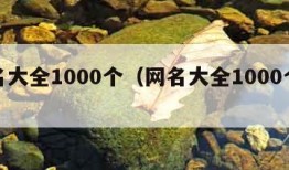 网名大全1000个（网名大全1000个成语）