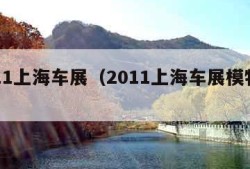 2011上海车展（2011上海车展模特轮胎）