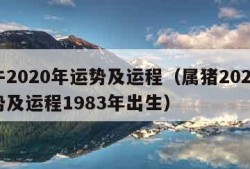 属牛2020年运势及运程（属猪2024年运势及运程1983年出生）