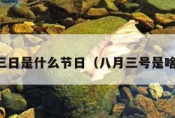 八月三日是什么节日（八月三号是啥节日）