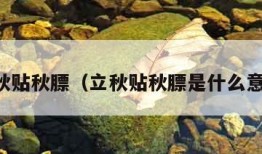 立秋贴秋膘（立秋贴秋膘是什么意思）