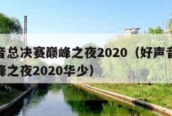 好声音总决赛巅峰之夜2020（好声音总决赛巅峰之夜2020华少）