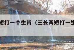 三长两短打一个生肖（三长两短打一生肖什么意思）