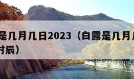 白露是几月几日2023（白露是几月几日2023时辰）