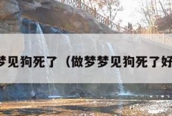 做梦梦见狗死了（做梦梦见狗死了好不好）