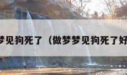 做梦梦见狗死了（做梦梦见狗死了好不好）