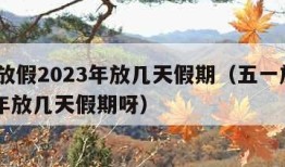 五一放假2023年放几天假期（五一放假2023年放几天假期呀）