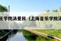 上海音乐学院汤爱民（上海音乐学院汤爱民教授简介）