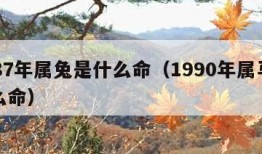 1987年属兔是什么命（1990年属马是什么命）