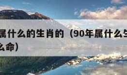 90年属什么的生肖的（90年属什么生肖的是什么命）