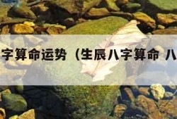 生辰八字算命运势（生辰八字算命 八字测算）