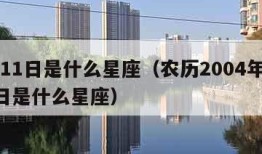 9月11日是什么星座（农历2004年9月11日是什么星座）