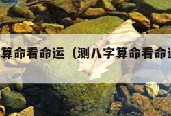 测八字算命看命运（测八字算命看命运 免费）