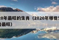 2020年最旺的生肖（2020年哪些生肖运势最旺）