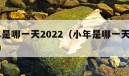 小年是哪一天2022（小年是哪一天2023年）