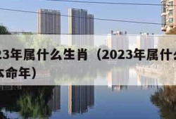 2023年属什么生肖（2023年属什么生肖本命年）