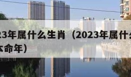 2023年属什么生肖（2023年属什么生肖本命年）