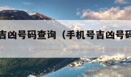 手机号吉凶号码查询（手机号吉凶号码查询八字）