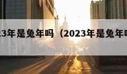 2023年是兔年吗（2023年是兔年吗多大）