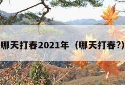 哪天打春2021年（哪天打春?）