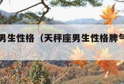 天秤座男生性格（天秤座男生性格脾气特点和缺点）