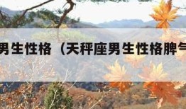 天秤座男生性格（天秤座男生性格脾气特点和缺点）