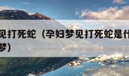 孕妇梦见打死蛇（孕妇梦见打死蛇是什么预兆周公解梦）