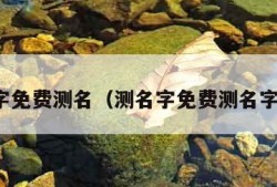 测名字免费测名（测名字免费测名字配对）