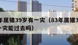 83年属猪39岁有一灾（83年属猪39岁有一灾能过去吗）